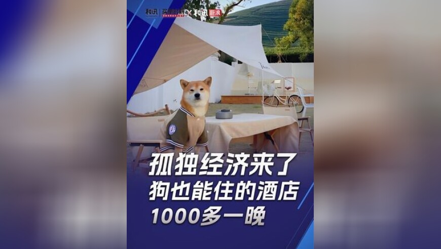 Switch2直面会速览,澳门网站甲资娘烧扑乱片在线看不用下载,全面解答解释落实_测试版V5.28