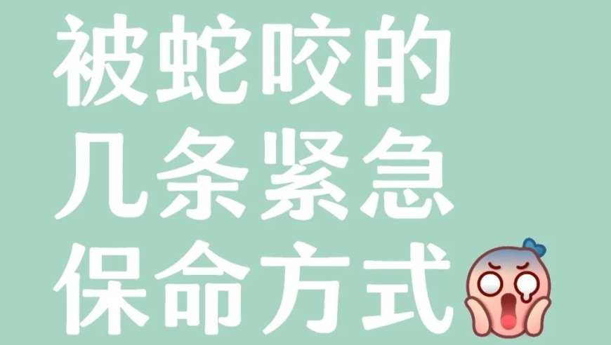 奥门六开奖号码2025年开奖结果查询直播,单依纯演唱会带大家进错拍,展开解析落实_精英版V2.25